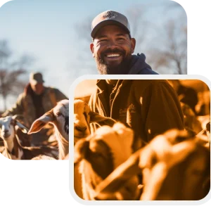 Option 1: The Foundation Course