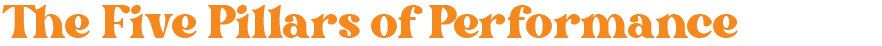 the five pillars of performance