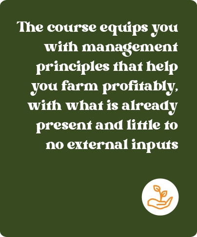 the course equips you