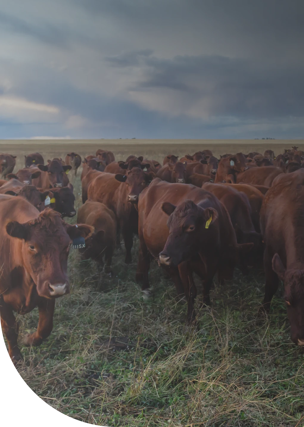 unlock farms regenerative potential mobile 1