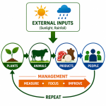 Value Chain 1